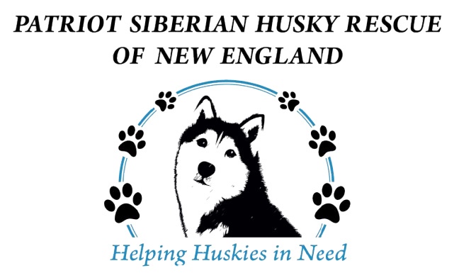 Patriot Siberian Husky Rescue